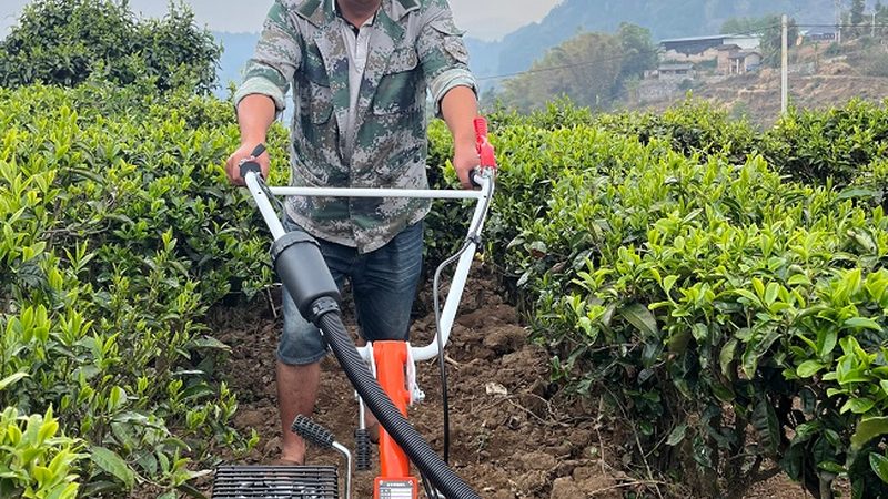 饲料机械生产线：揭秘其优缺点，助力高效养殖